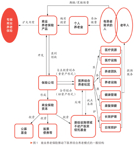 商业养老保险推动下医养结合养老模式的一般结构.png