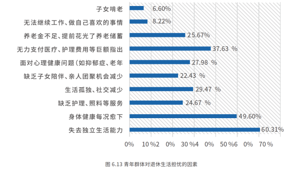 04、青年群体对退休生活担忧的因素.png